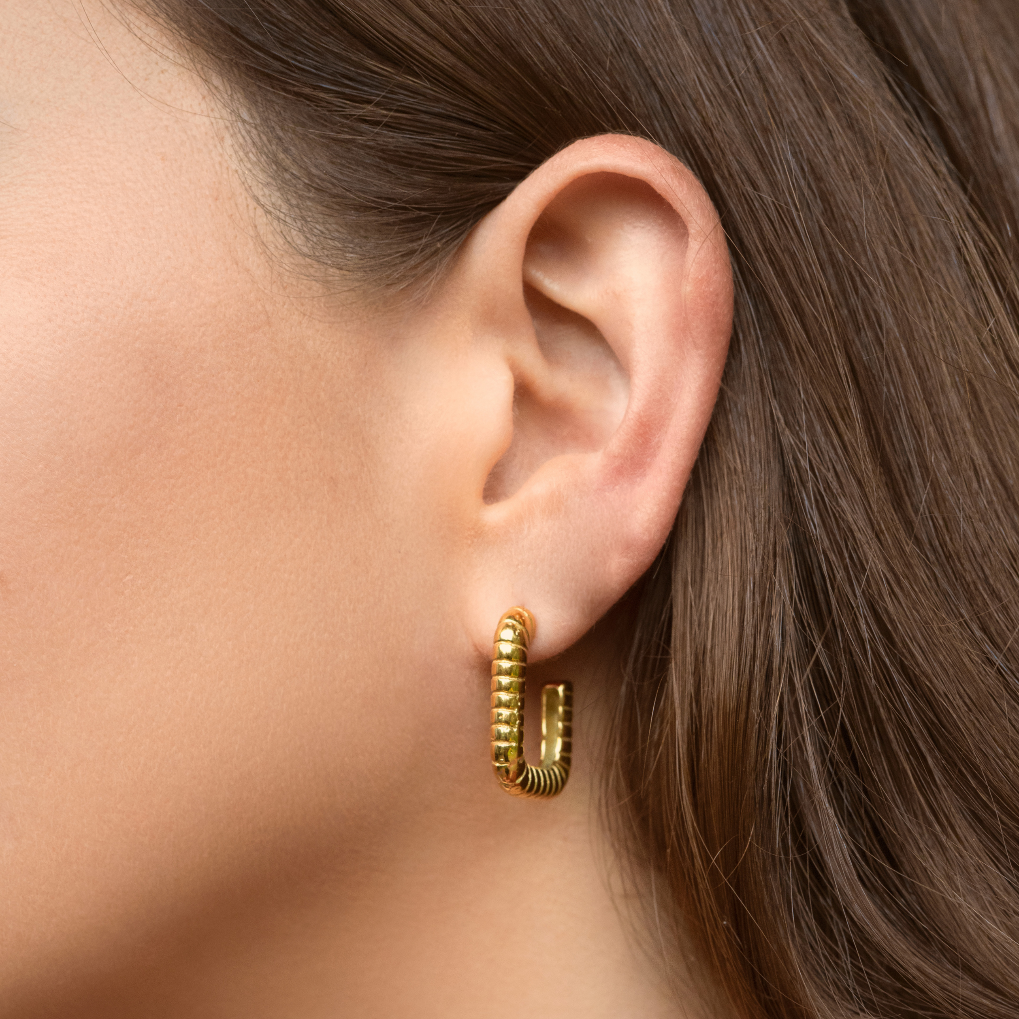 ARETES CASSIA